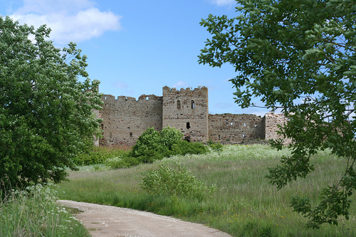 Замок Тулсе